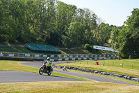 cadwell-park;cadwell-park-photographs;cadwell-trackday-photographs;enduro-digital-images;event-digital-images;eventdigitalimages;peter-wileman-photography;racing-digital-images;trackday-digital-images;trackday-photos